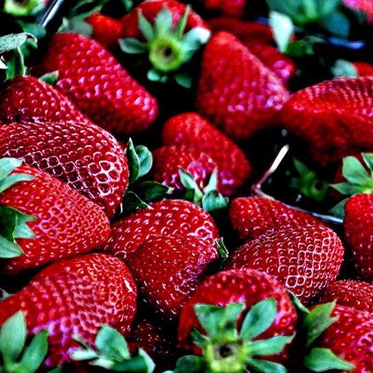 DIY-Teeth-Whitening-Trends-Fact-Or-Fiction_543